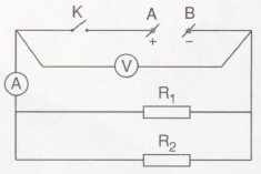 sơ đồ mạch điện mắc song song hình 5.1 sgk vật lý 9