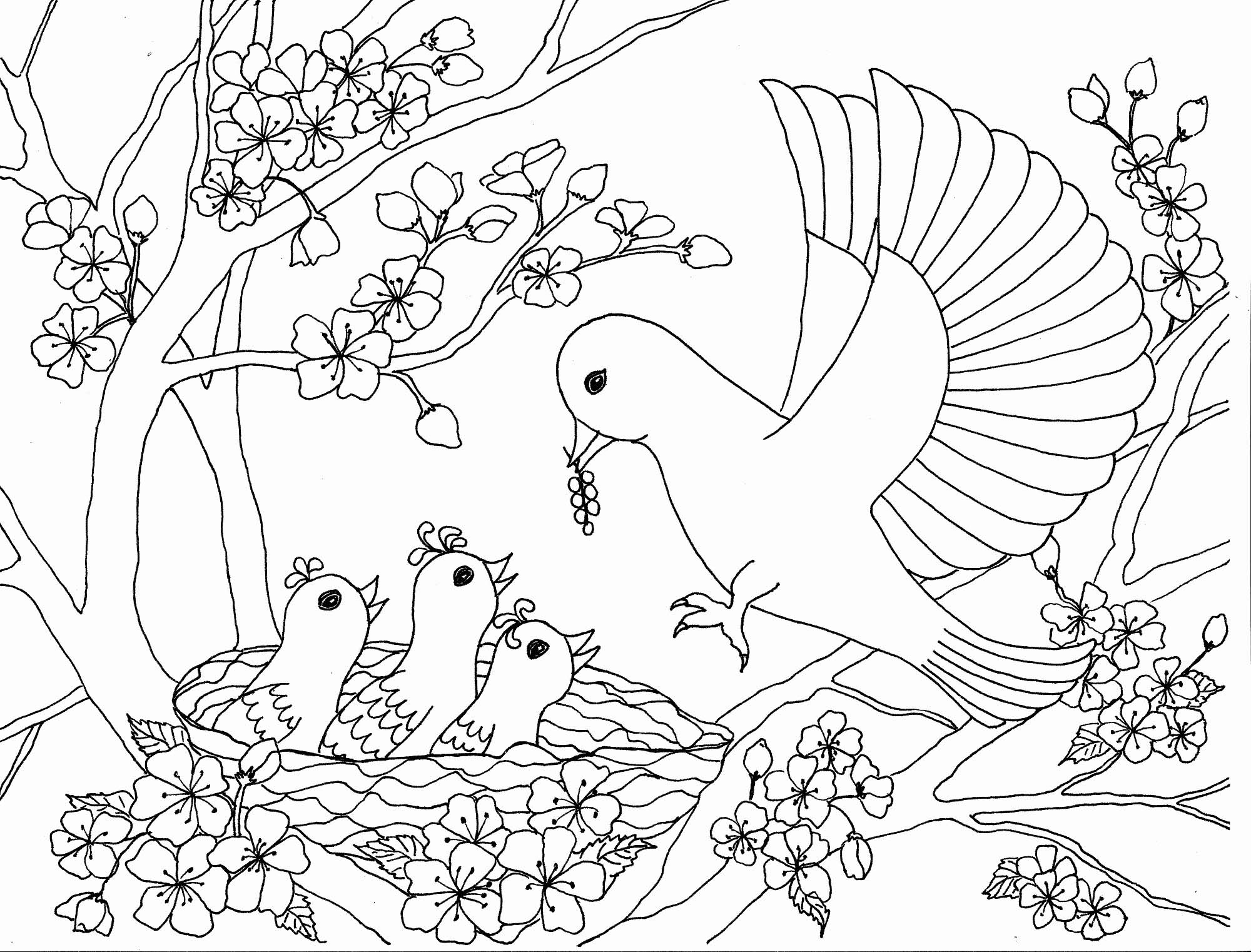Tổng hợp các bức tranh tô màu con chim cho bé