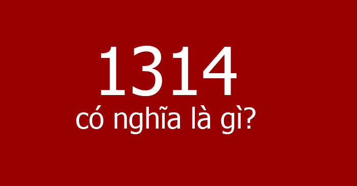 1314 là gì?