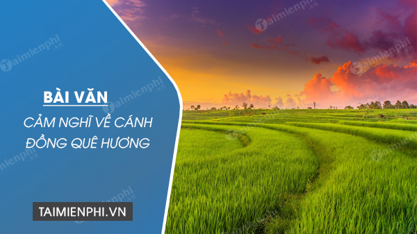 cam nghi ve canh dong que huong