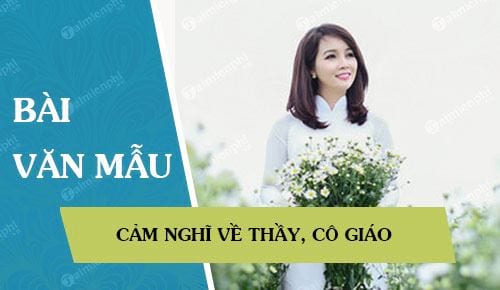 cam nghi ve thay co giao