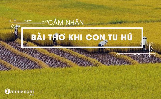 cam nghi ve bai tho khi con tu hu