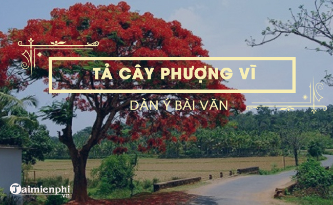 dan y ta cay phuong vi