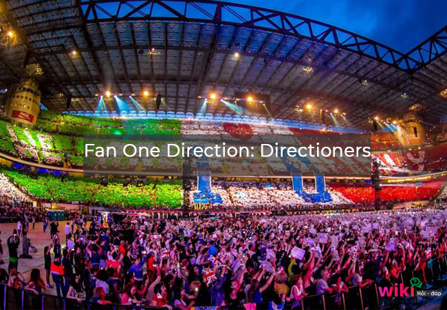 2. Fan One Direction: Directioners