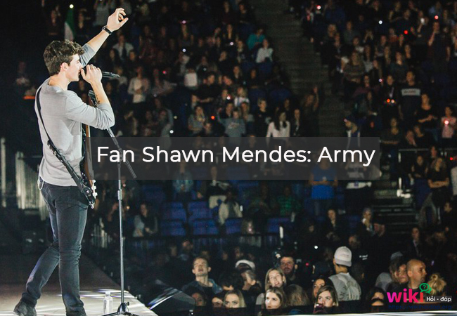 3. Fan Shawn Mendes: Army