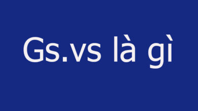 Gs vs là gì