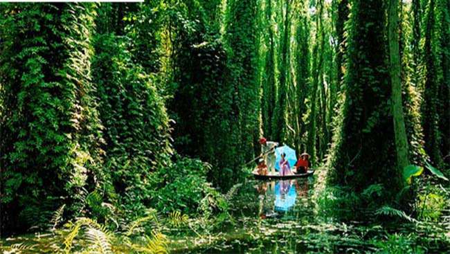 Khu sinh thái rừng U Minh Nhượng – địa điểm du lịch độc đáo