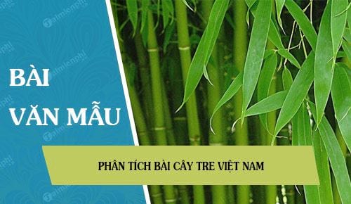 phan tich bai cay tre viet nam