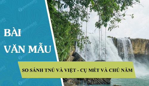 so sanh tnu va viet cu met va chu nam qua tac pham rung xa nu