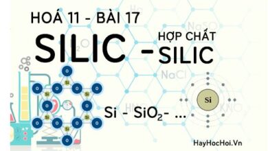 tính chất hoá học của silic dioxit silixic và silicat
