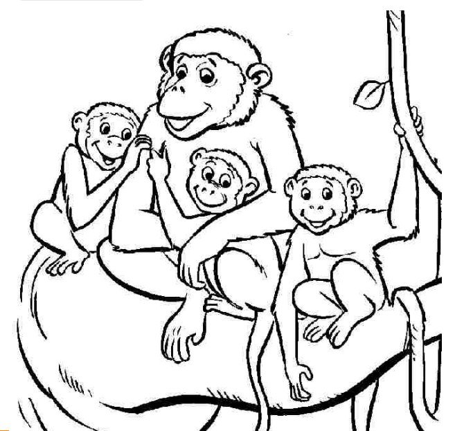Tổng hợp các bức tranh tô màu con khỉ cho bé
