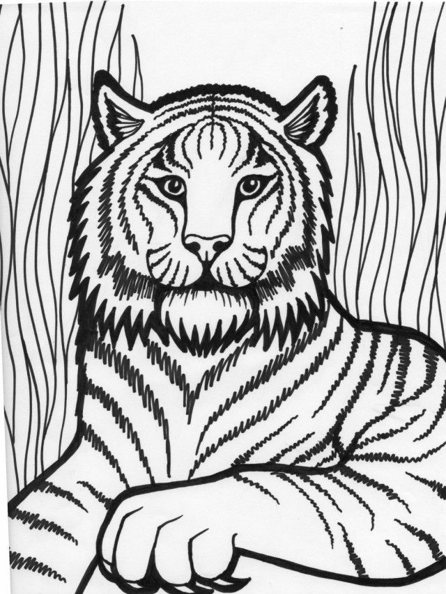 Tổng hợp tranh tô màu con hổ đẹp nhất