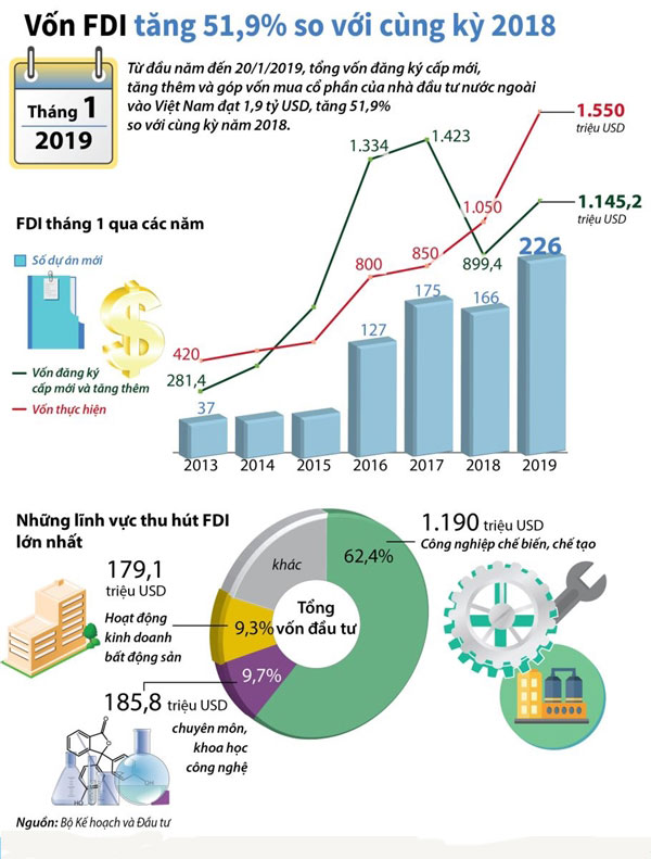Doanh nghiệp FDI tại Việt Nam tăng trưởng mạnh hàng năm
