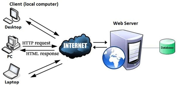 Web hoạt động theo định dạng client-server cơ bản của Internet