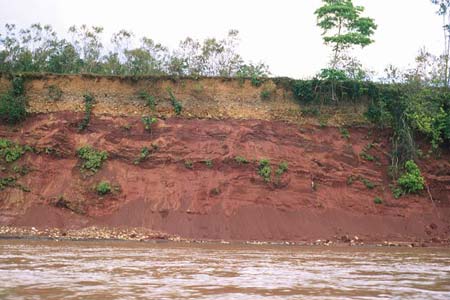 Lát cắt đất dọc theo sông Manu, Perru có màu hơi vàng và đỏ do khoáng chất