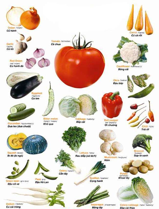 Từ vựng về các loại rau củ quả- Vegetable