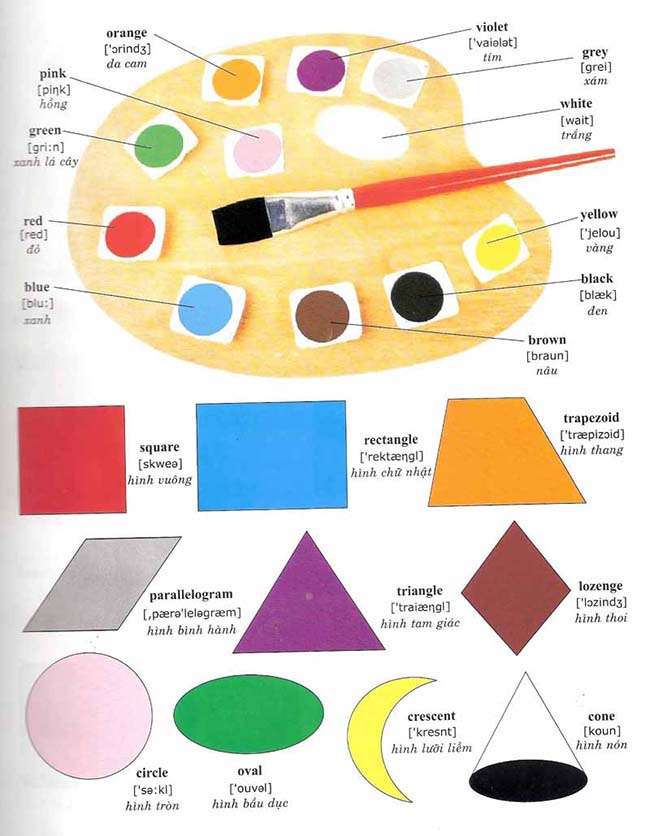 Từ vựng về màu săc và hình khối – Colors and Shapes