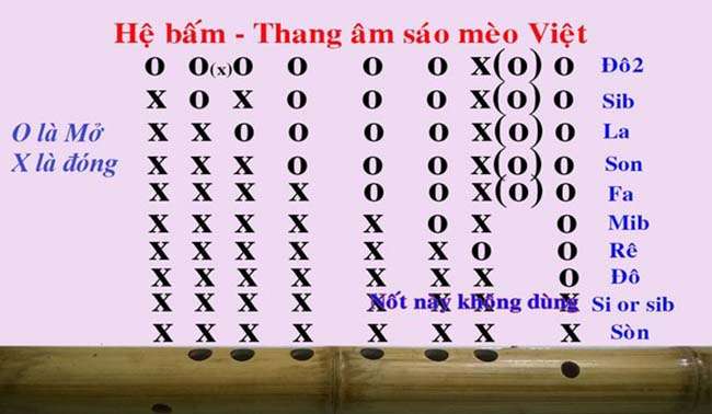 Hệ bấm Thang âm ( các nốt ) trên sáo Mèo Việt
