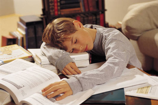 Ép trẻ làm quá nhiều bài tập về nhà: Lợi bất cập hại - KhoaHoc.tv