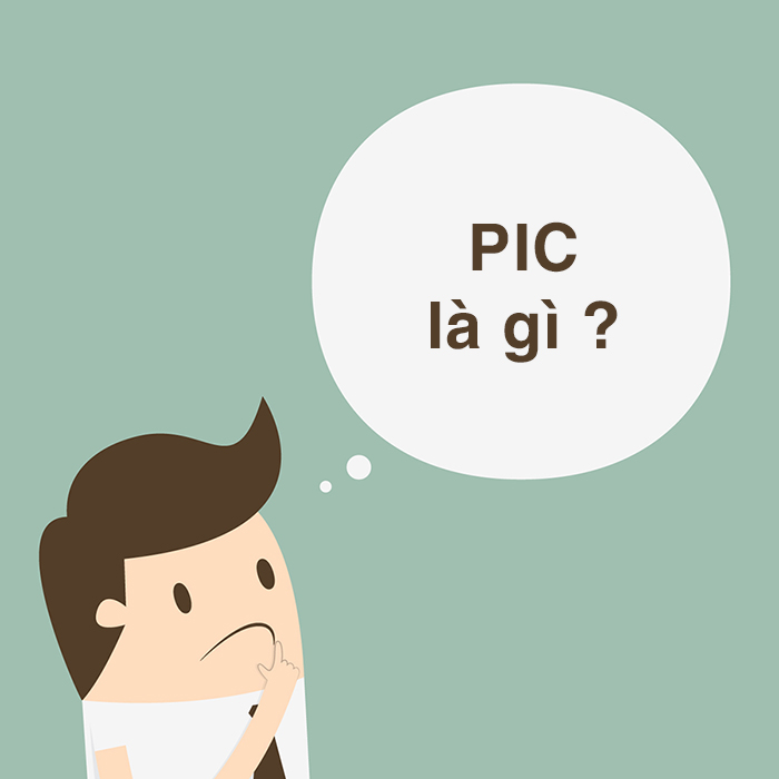 PIC là gì? Tìm hiểu những ý nghĩa đặc biệt của PIC